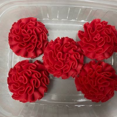  RED Carnation flower 